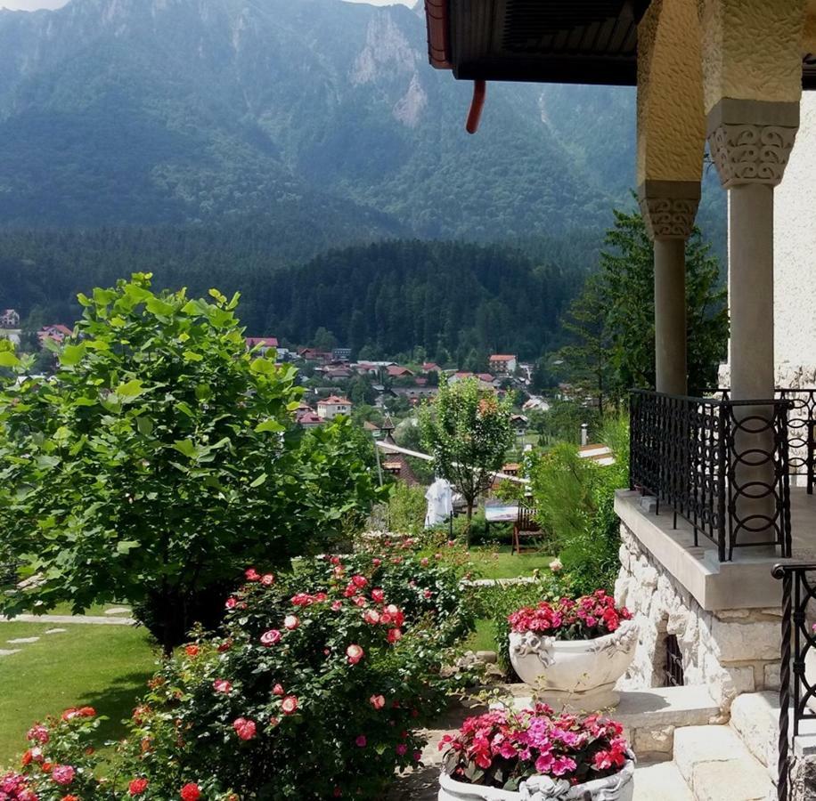 Vila Leonida - Resort Leonida Buşteni Exteriér fotografie